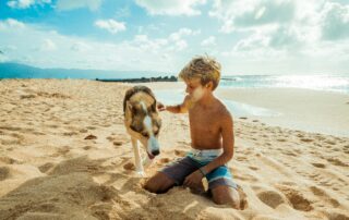 Pet travel from Hawaii